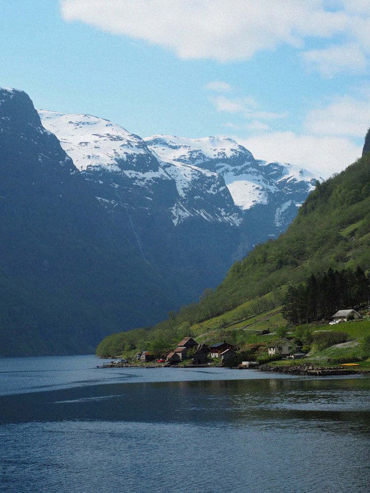 Fjord Cruise 4