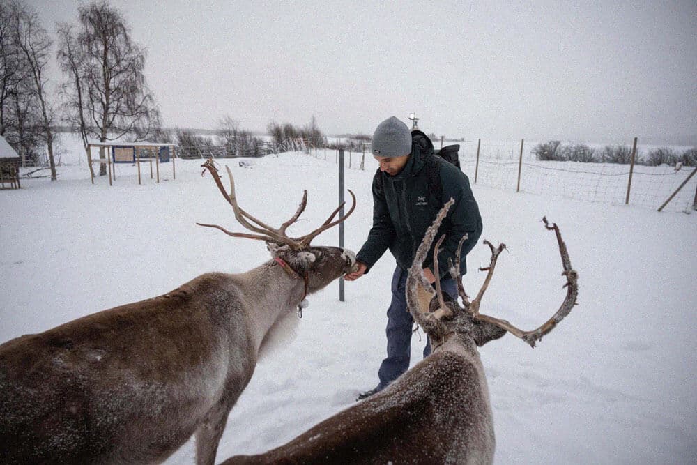 Swedish Lapland 7